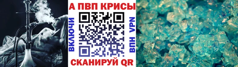 Альфа ПВП СК КРИС  Избербаш 